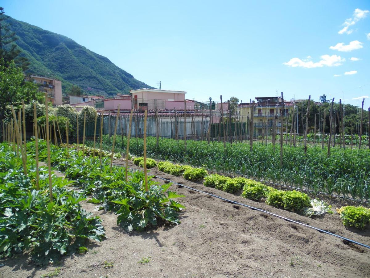 Villa Bianca Castellammare di Stabia Bagian luar foto