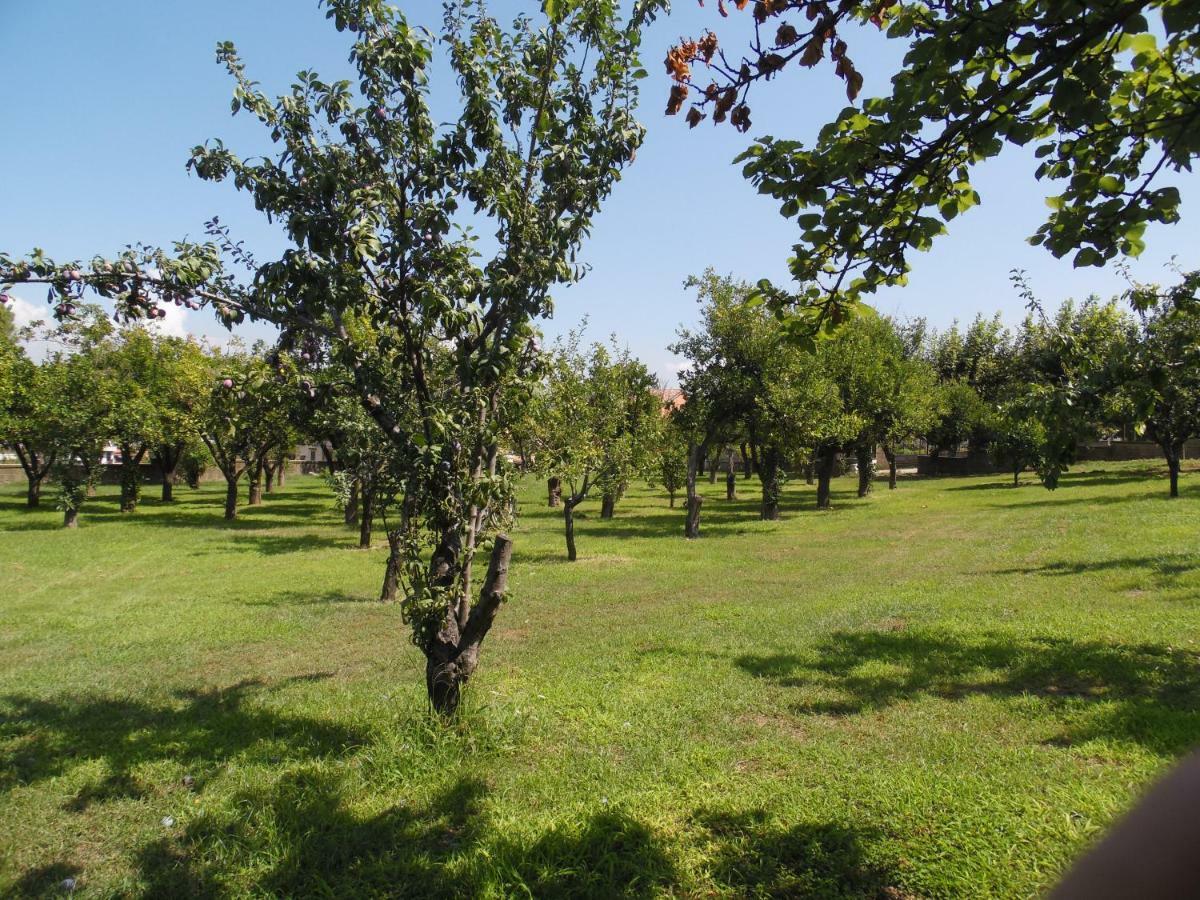Villa Bianca Castellammare di Stabia Bagian luar foto